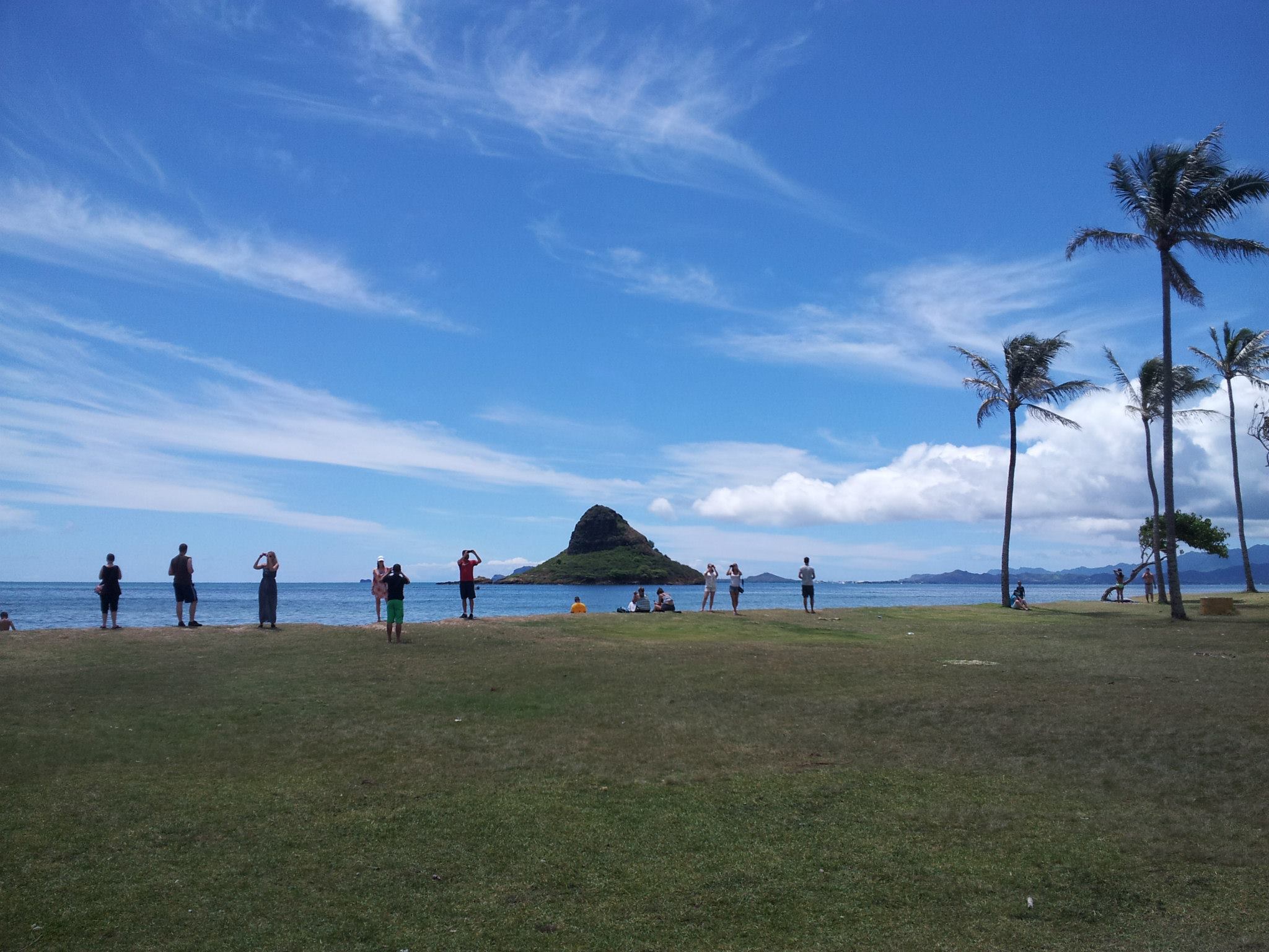 Global Village Hawaii image 3