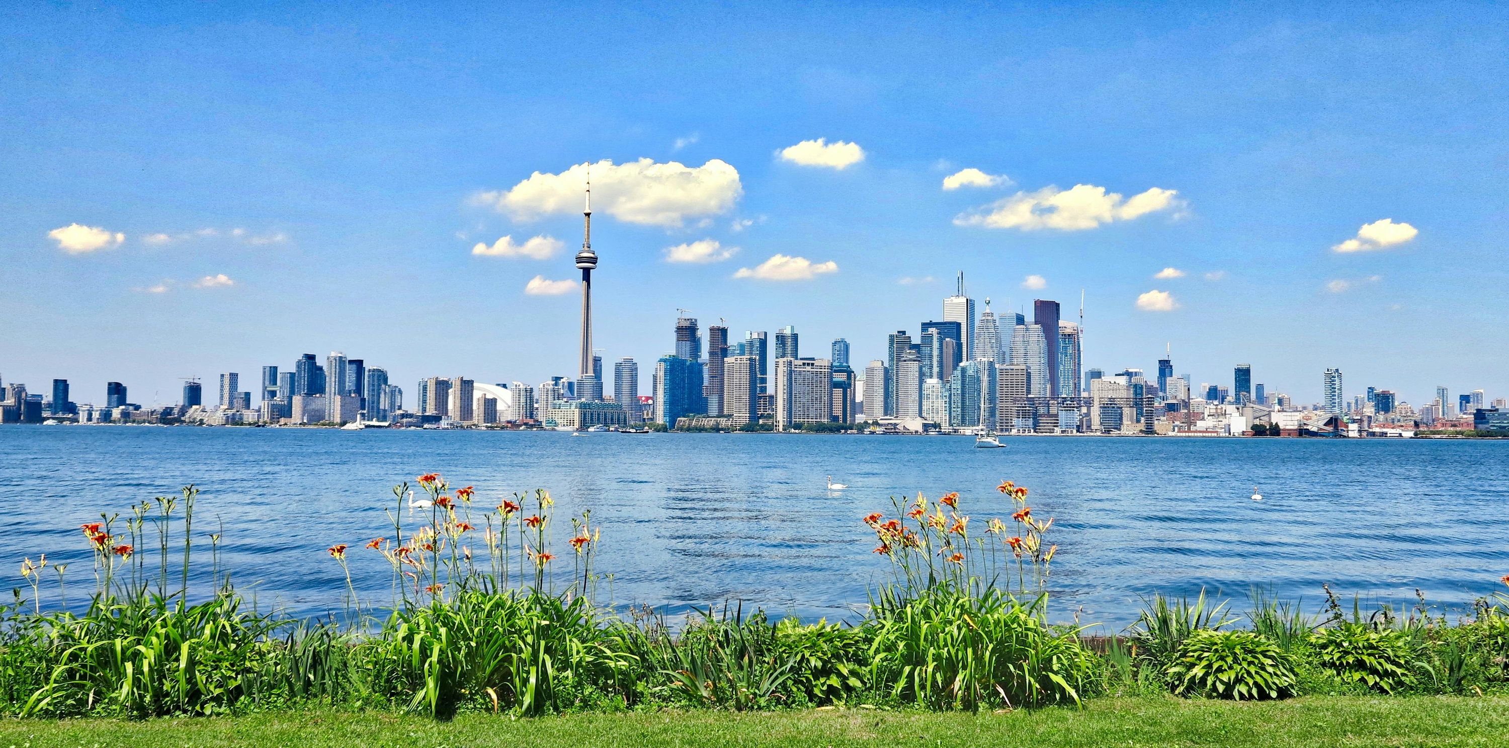 معهد رويال كاناديان الدولي للدراسات RCIIS في تورونتو 🇨🇦